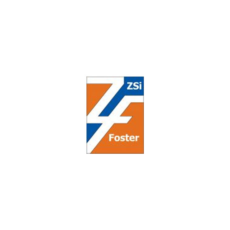 ZSi Foster McAllister Group